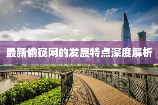 最新偷窥网的发展特点深度解析