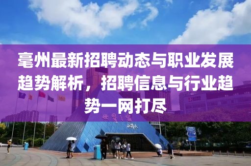 毫州最新招聘动态与职业发展趋势解析，招聘信息与行业趋势一网打尽
