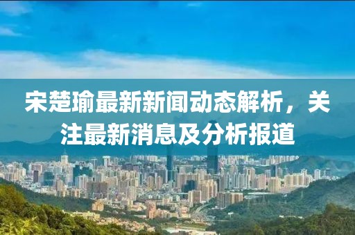 宋楚瑜最新新闻动态解析，关注最新消息及分析报道