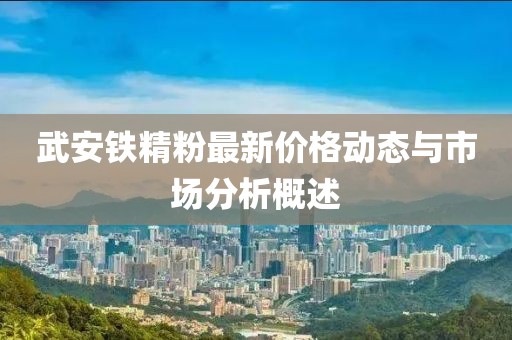 武安铁精粉最新价格动态与市场分析概述