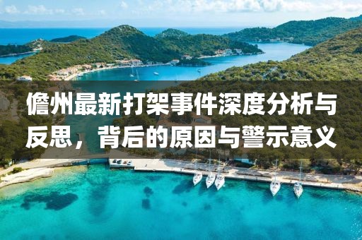 儋州最新打架事件深度分析与反思，背后的原因与警示意义