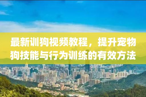 最新训狗视频教程，提升宠物狗技能与行为训练的有效方法