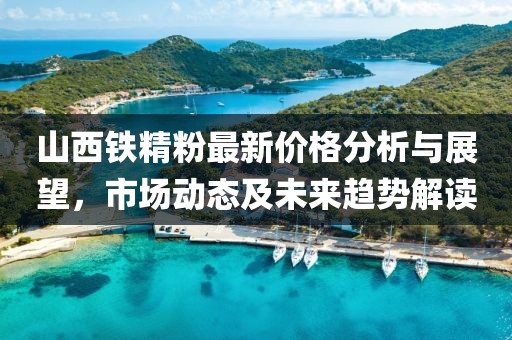山西铁精粉最新价格分析与展望，市场动态及未来趋势解读