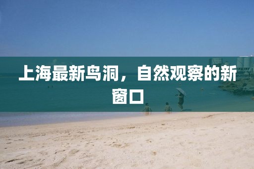 上海最新鸟洞，自然观察的新窗口