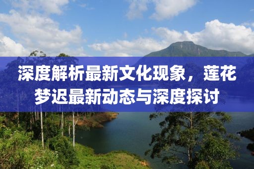 深度解析最新文化现象，莲花梦迟最新动态与深度探讨