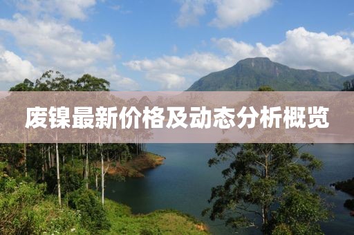 废镍最新价格及动态分析概览