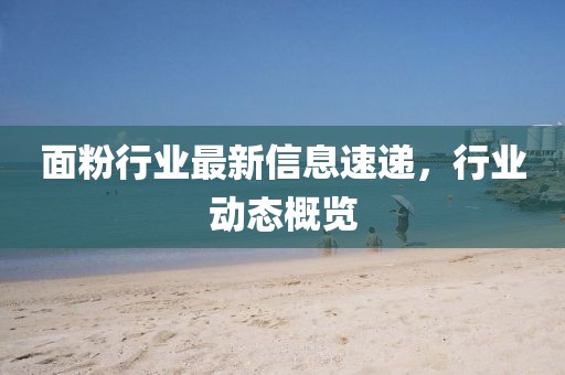 面粉行业最新信息速递，行业动态概览