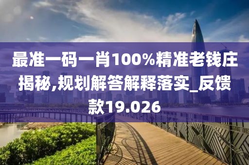 最准一码一肖100%精准老钱庄揭秘,规划解答解释落实_反馈款19.026