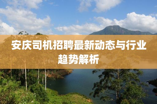 安庆司机招聘最新动态与行业趋势解析