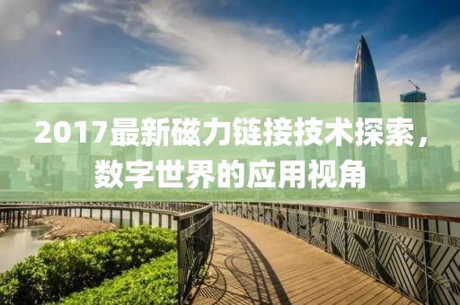 2017最新磁力链接技术探索，数字世界的应用视角