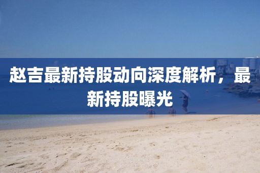 赵吉最新持股动向深度解析，最新持股曝光