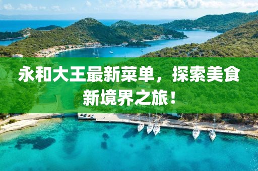 永和大王最新菜单，探索美食新境界之旅！