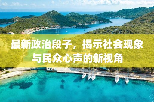 最新政治段子，揭示社会现象与民众心声的新视角