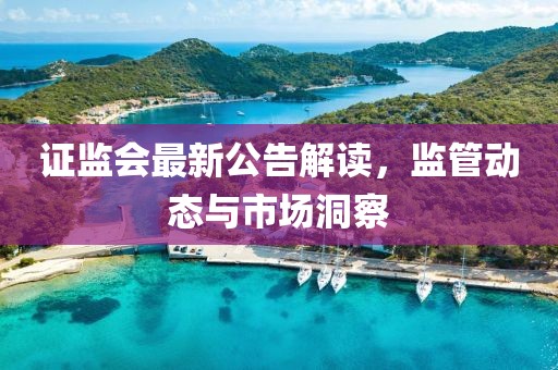 证监会最新公告解读，监管动态与市场洞察
