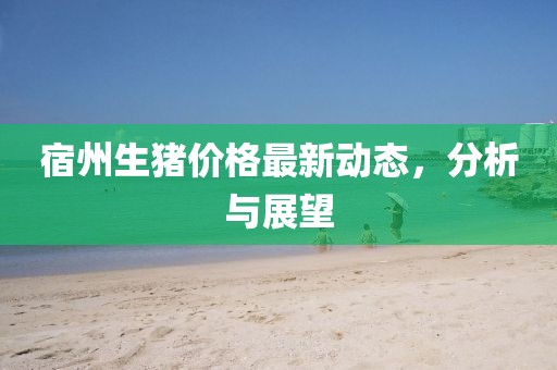 宿州生猪价格最新动态，分析与展望