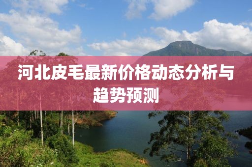 河北皮毛最新价格动态分析与趋势预测