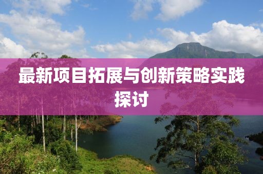 最新项目拓展与创新策略实践探讨
