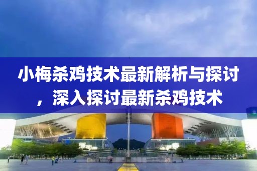 小梅杀鸡技术最新解析与探讨，深入探讨最新杀鸡技术