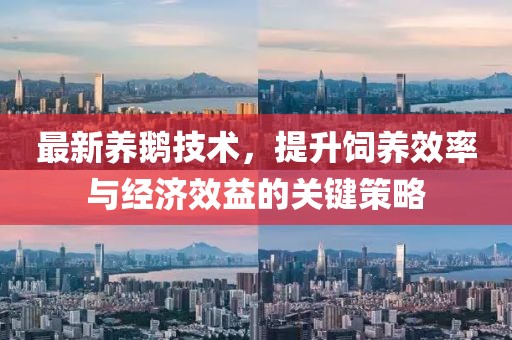 最新养鹅技术，提升饲养效率与经济效益的关键策略