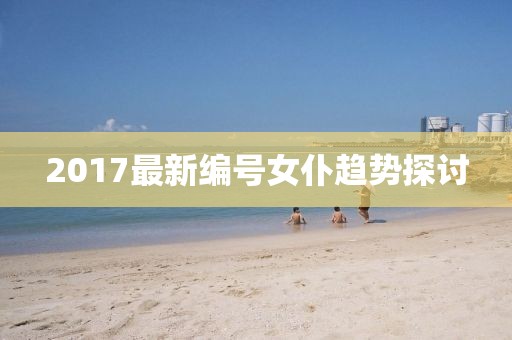 2017最新编号女仆趋势探讨