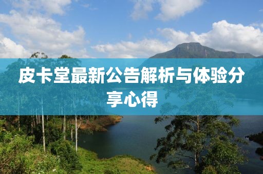 皮卡堂最新公告解析与体验分享心得