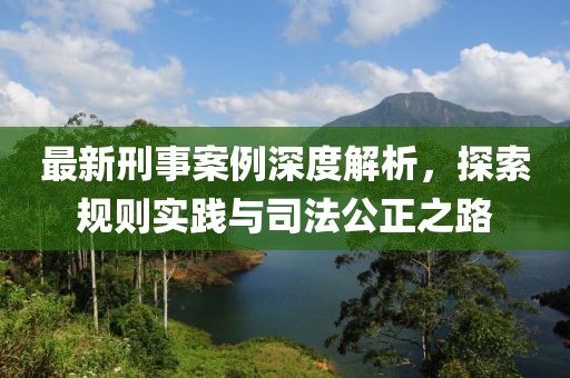 最新刑事案例深度解析，探索规则实践与司法公正之路