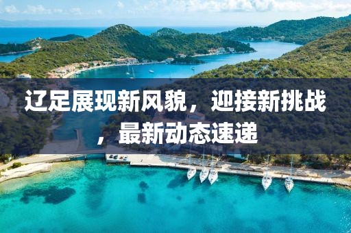 辽足展现新风貌，迎接新挑战，最新动态速递