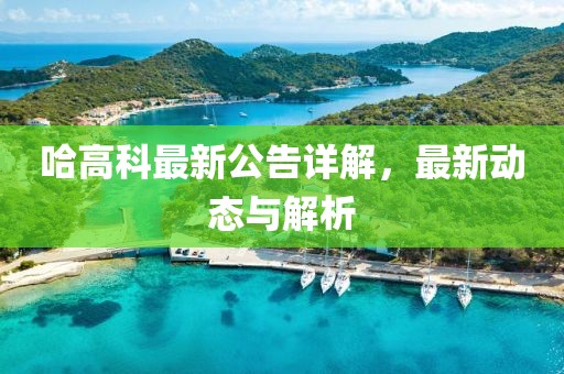 哈高科最新公告详解，最新动态与解析