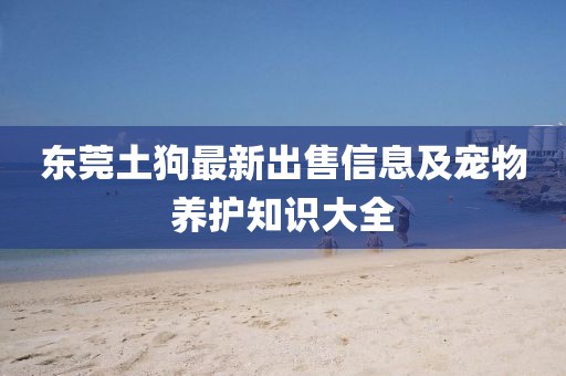 东莞土狗最新出售信息及宠物养护知识大全