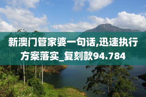 新澳门管家婆一句话,迅速执行方案落实_复刻款94.784