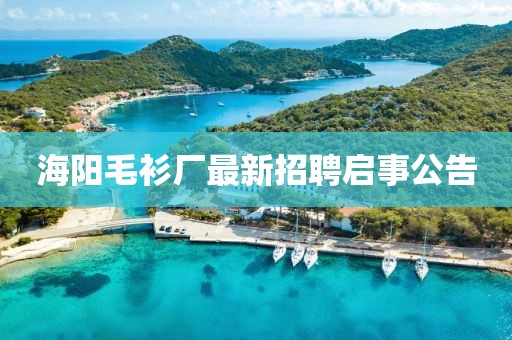 海阳毛衫厂最新招聘启事公告
