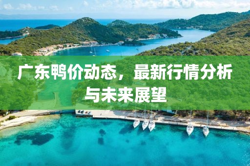 广东鸭价动态，最新行情分析与未来展望