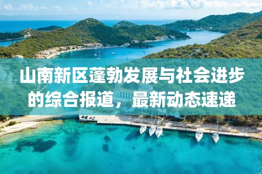 山南新区蓬勃发展与社会进步的综合报道，最新动态速递