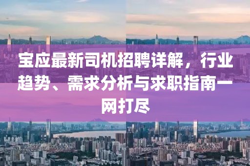 宝应最新司机招聘详解，行业趋势、需求分析与求职指南一网打尽