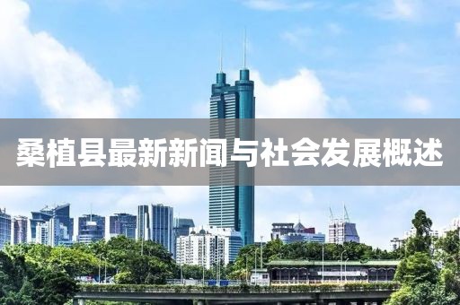 桑植县最新新闻与社会发展概述