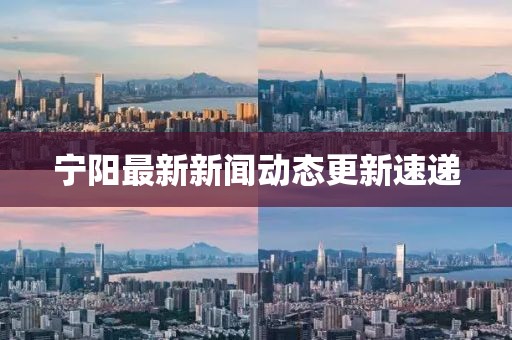 宁阳最新新闻动态更新速递