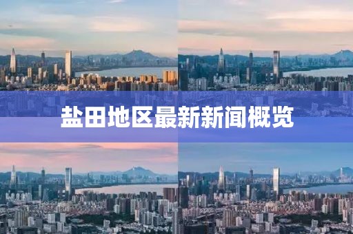 盐田地区最新新闻概览