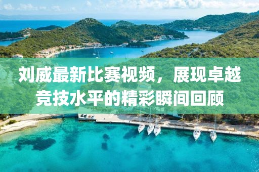 刘威最新比赛视频，展现卓越竞技水平的精彩瞬间回顾
