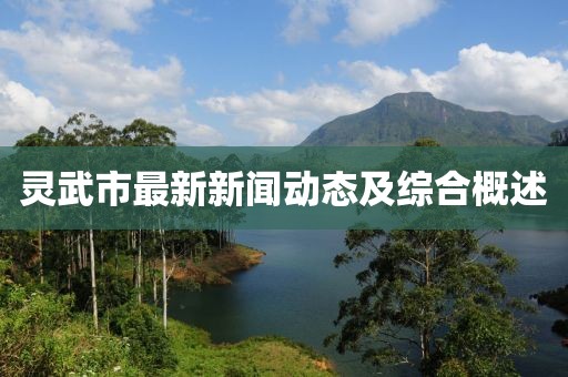 灵武市最新新闻动态及综合概述