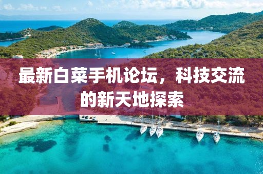 最新白菜手机论坛，科技交流的新天地探索