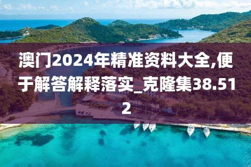 澳门2024年精准资料大全,便于解答解释落实_克隆集38.512