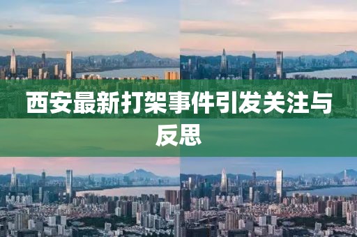西安最新打架事件引发关注与反思