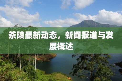 茶陵最新动态，新闻报道与发展概述