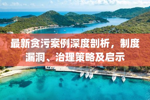 最新贪污案例深度剖析，制度漏洞、治理策略及启示