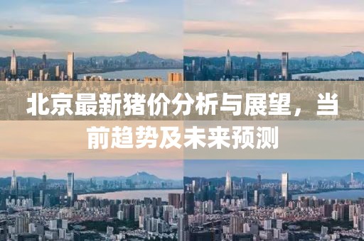 北京最新猪价分析与展望，当前趋势及未来预测