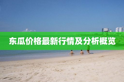 东瓜价格最新行情及分析概览