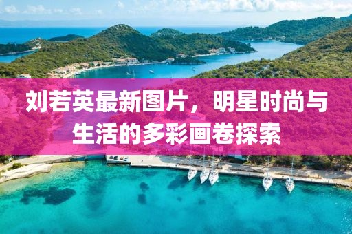 刘若英最新图片，明星时尚与生活的多彩画卷探索