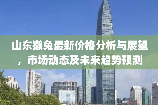 2025年2月 第51页