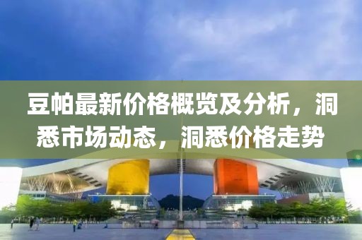 豆帕最新价格概览及分析，洞悉市场动态，洞悉价格走势
