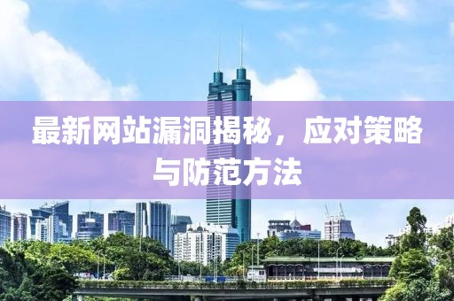 最新网站漏洞揭秘，应对策略与防范方法